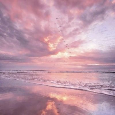 半岛体体育下载